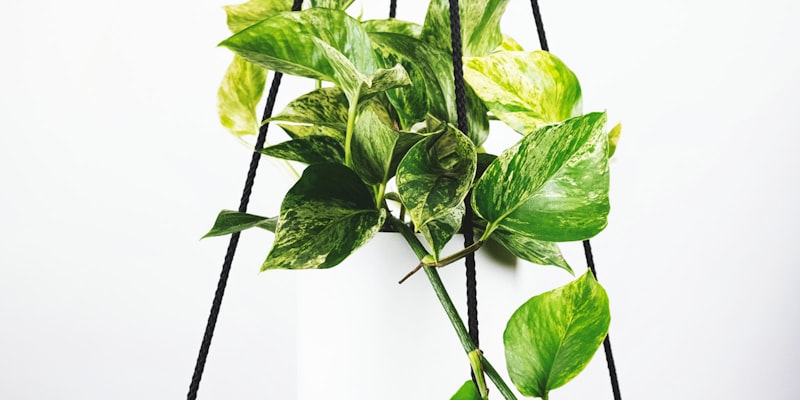 2026世界杯淘汰赛进程图 - 从16强到决赛的晋级路径可视化图表